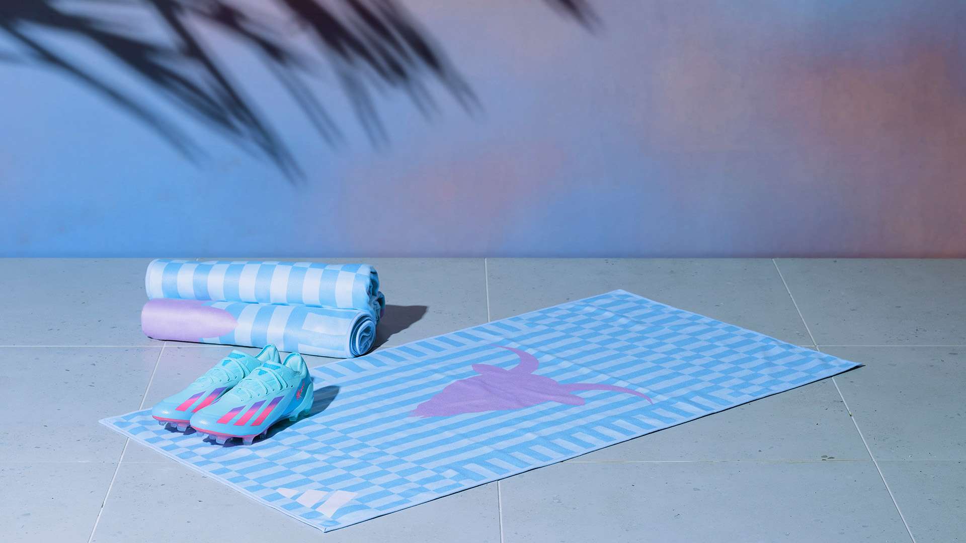 乐趣和机会 乐趣和机会